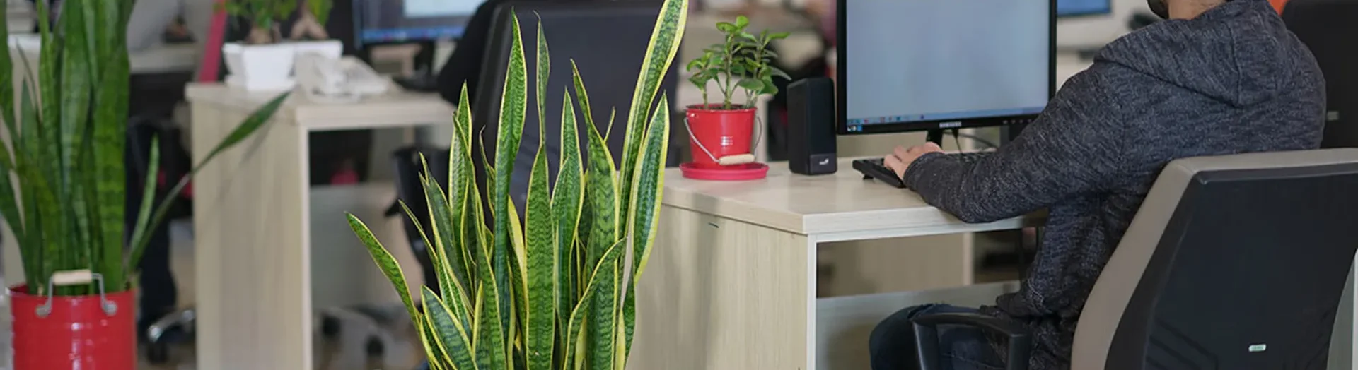 در دنیای تبادلات پیشرفته، داشتن یک وب‌سایت بدون بهینه‌سازی برای موتورهای جستجو (SEO) مانند داشتن یک فروشگاه در یک جزیره دورافتاده است