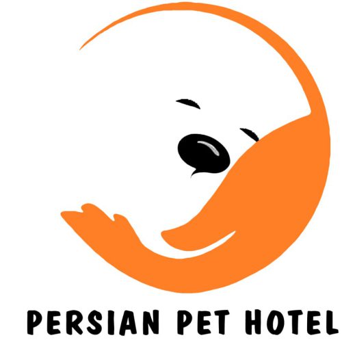 نمونه کار طراحی گرافیک آژانس دیجیتال مارکتینگ دیبا